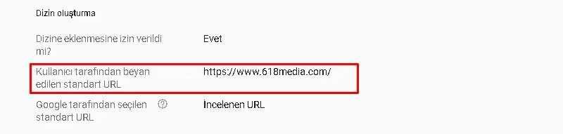 Search Console URL Denetimi