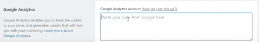 Google Analytics Shopify 