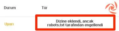 Robots.txt tarafından engellenmiş olsa da indeksli